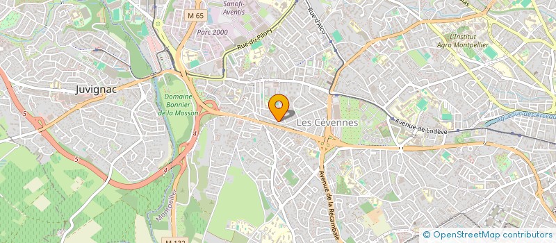 localisation de l'entreprise MADAME ROMANE VALZ à MONTPELLIER