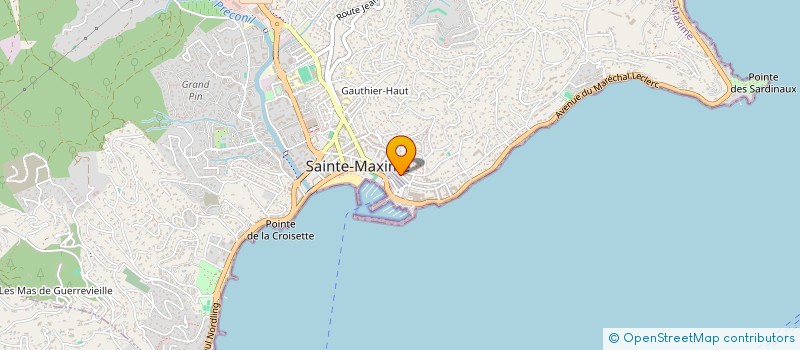 localisation de l'entreprise MADAME ROMANE VIALE à SAINTE-MAXIME