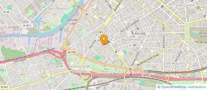 localisation de l'entreprise MADAME ROMANE VINTROU à LILLE