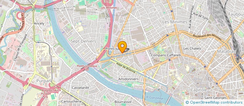 localisation de l'entreprise MADAME RONG ZHANG  TOULOUSE