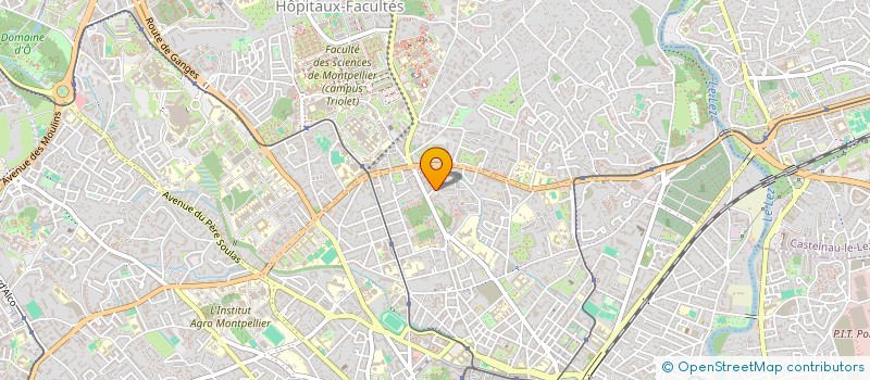 localisation de l'entreprise MADAME ROSA PIAZZA à MONTPELLIER