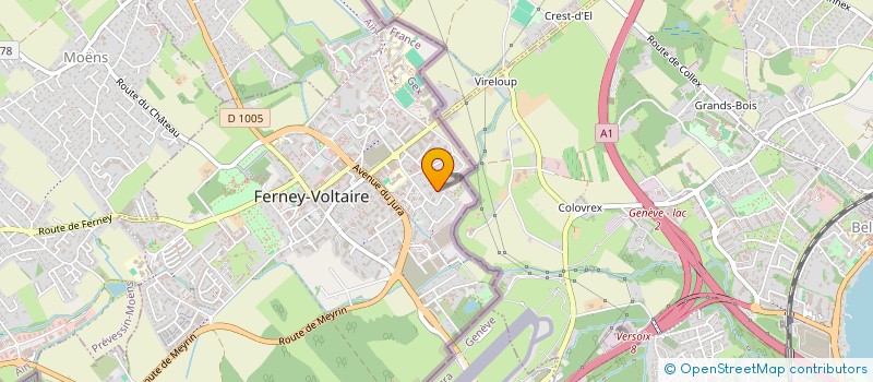 localisation de l'entreprise MADAME ROSANA MARTINS FRANCA à FERNEY-VOLTAIRE