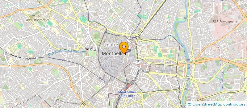 localisation de l'entreprise MADAME ROSANNA ZERBIB à MONTPELLIER