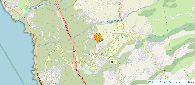 localisation de l'entreprise MADAME ROSE-MARIE GASP  SAINT-LEU