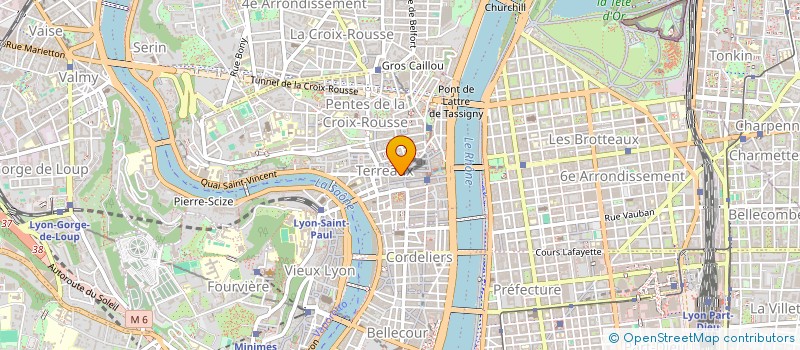 localisation de l'entreprise MADAME ROSE-MARIE NICAUD à LYON