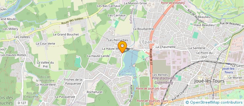 localisation de l'entreprise MADAME ROSELINE CHEN  TOURS