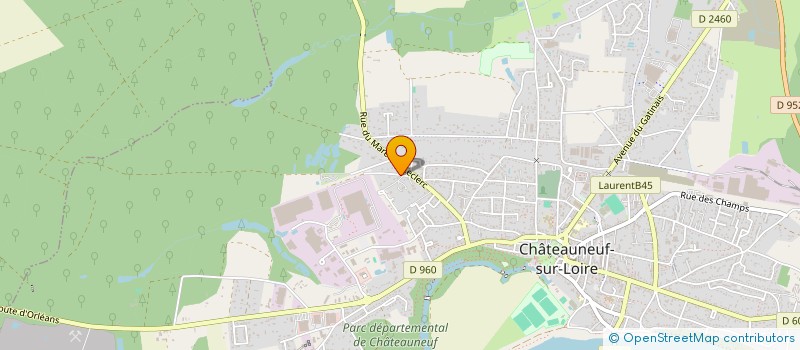 localisation de l'entreprise MADAME ROSELINE LOCHON à CHATEAUNEUF-SUR-LOIRE