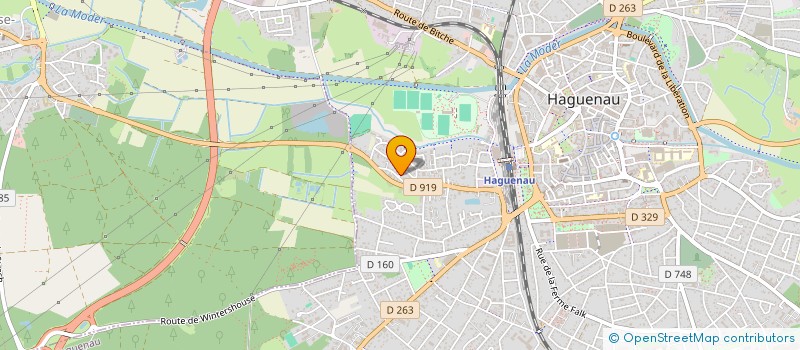 localisation de l'entreprise MADAME ROSELYNE ALLENBACH  HAGUENAU