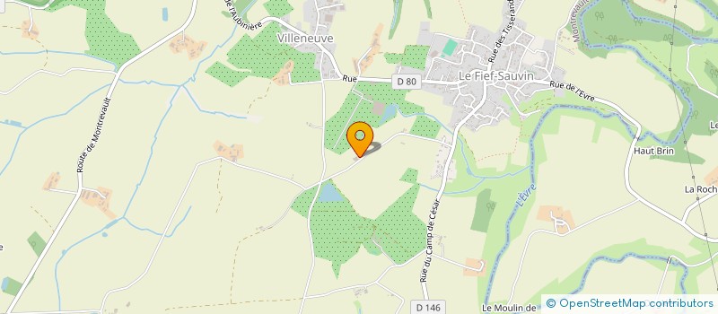 localisation de l'entreprise MADAME ROSELYNE DALAINE  MAUGES-SUR-LOIRE