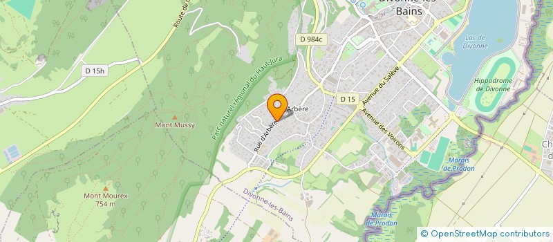 localisation de l'entreprise MADAME ROSELYNE HANTZBERG  DIVONNE-LES-BAINS