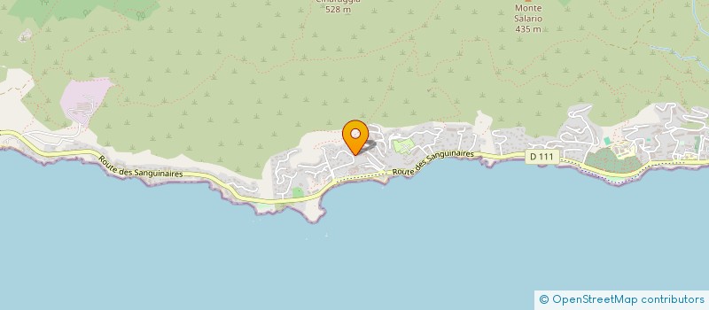 localisation de l'entreprise MADAME ROSELYNE LANOIS  AJACCIO