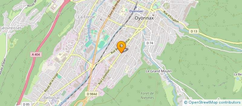 localisation de l'entreprise MADAME ROSELYNE LEVRAT à OYONNAX