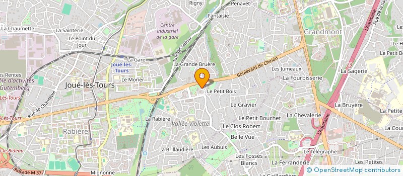 localisation de l'entreprise MADAME ROSELYNE THIBAULT  JOUE-LES-TOURS