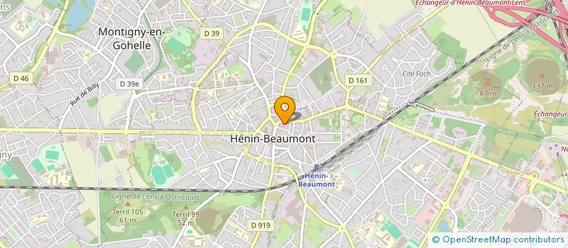 localisation de l'entreprise MADAME ROSELYNE WILLEMETZ à HENIN-BEAUMONT