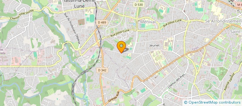 localisation de l'entreprise MADAME ROSEMARY BLOOM à LYON