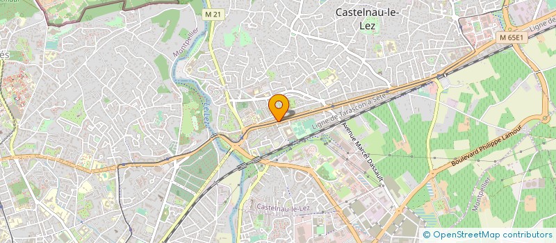 localisation de l'entreprise MADAME ROSEMONDE GARCIA-CORRECHER  CASTELNAU-LE-LEZ