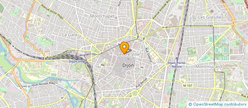 localisation de l'entreprise MADAME ROSINA TURINI à DIJON
