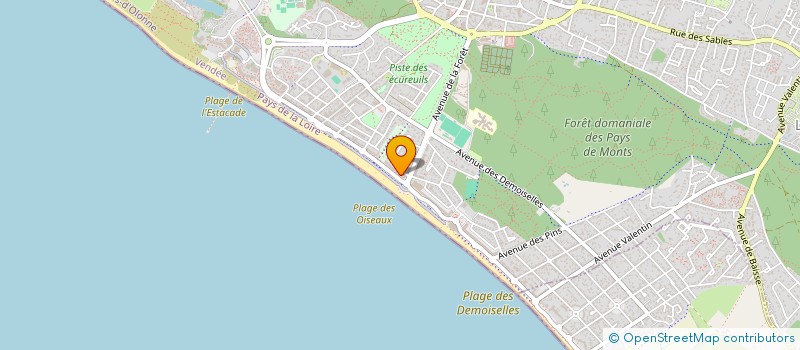 localisation de l'entreprise MADAME ROSINE ABILLARD  SAINT-JEAN-DE-MONTS