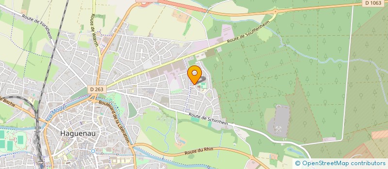 localisation de l'entreprise MADAME ROSY KAUFFMANN  HAGUENAU