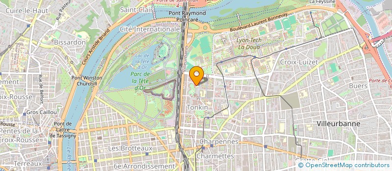 localisation de l'entreprise MADAME ROUFAILA SAOTI  VILLEURBANNE