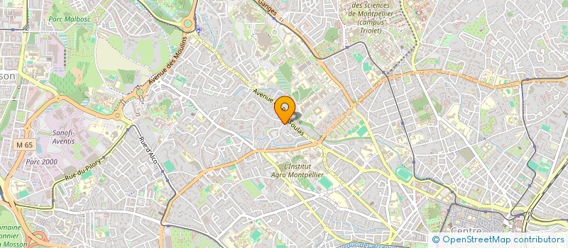 localisation de l'entreprise MADAME ROUGUIYATOU BALDE à MONTPELLIER