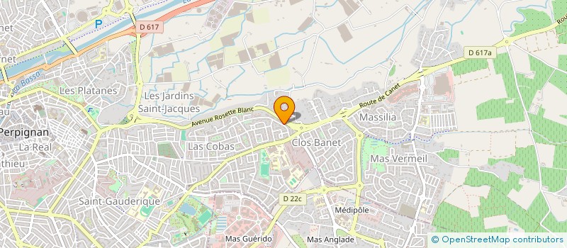 localisation de l'entreprise MADAME ROWAYDA LAFRINDI  PERPIGNAN