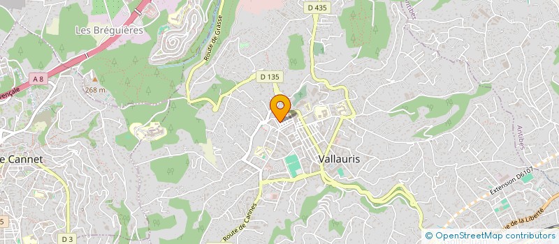 localisation de l'entreprise MADAME ROXANA ALEXANDRA STANGACIU à VALLAURIS