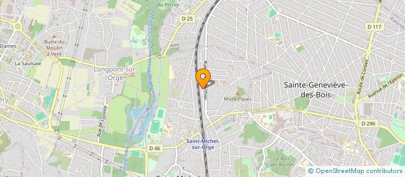 localisation de l'entreprise MADAME ROXANA RACOLTA  SAINT-MICHEL-SUR-ORGE