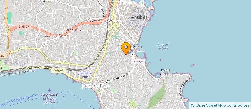 localisation de l'entreprise MADAME ROXANA TITU à ANTIBES