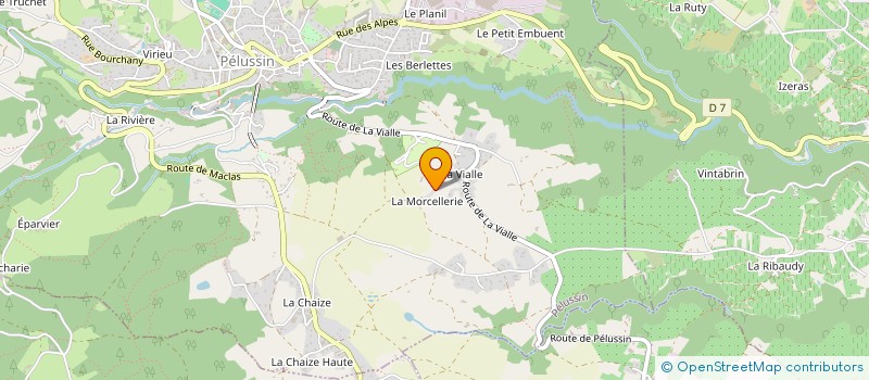 localisation de l'entreprise MADAME ROXANE DELEGLISE  PELUSSIN