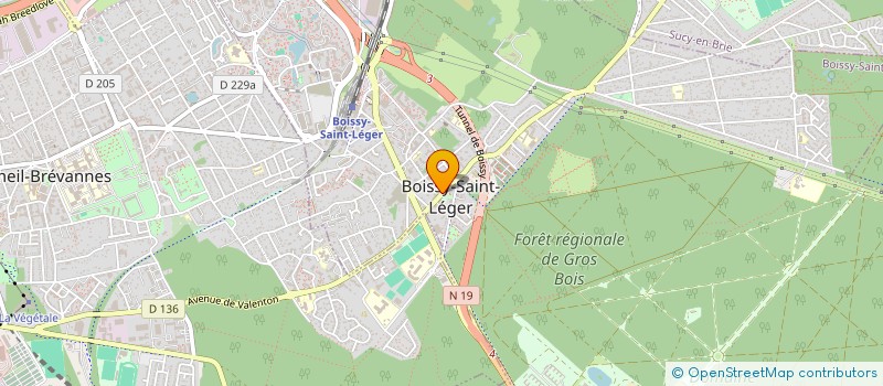 localisation de l'entreprise MADAME ROXANE ROUX à BOISSY-SAINT-LEGER