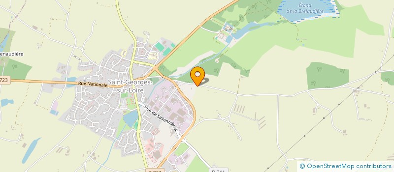 localisation de l'entreprise MADAME ROZENNE MOUTET  SAINT-GEORGES-SUR-LOIRE