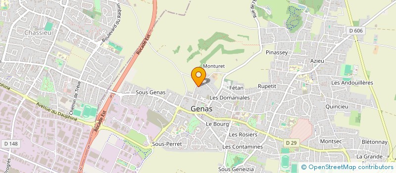 localisation de l'entreprise MADAME RUBIS RICHARD  GENAS