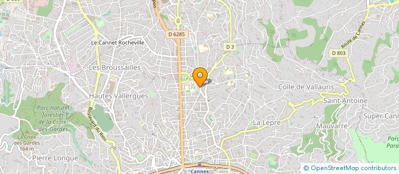 localisation de l'entreprise MADAME RUI ZHANG  CANNES