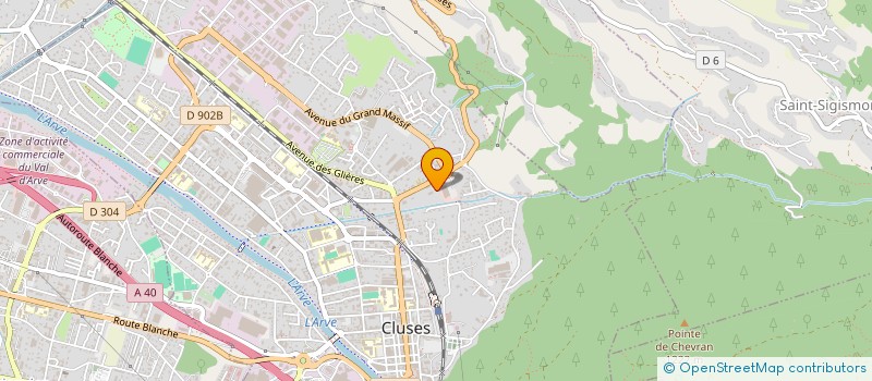 localisation de l'entreprise MADAME RUKIYE DOGAN  CLUSES