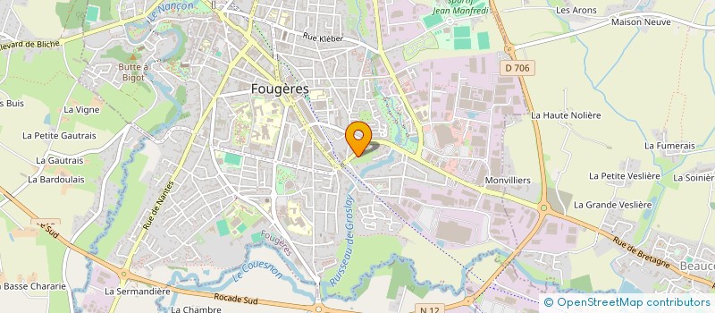 localisation de l'entreprise MADAME RUSUDAN SIDAMONIDZE  FOUGERES