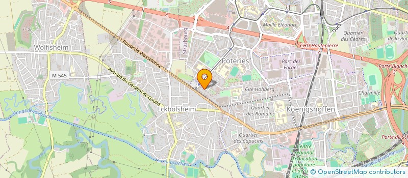 localisation de l'entreprise MADAME RUTA KNEIZEVICIUTE à STRASBOURG