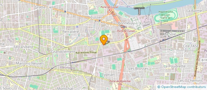 localisation de l'entreprise MADAME RUTH ADAGBE  VILLEURBANNE