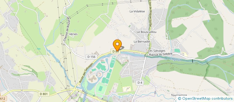 localisation de l'entreprise MADAME RUTH BOISSOLLE  CASTRES