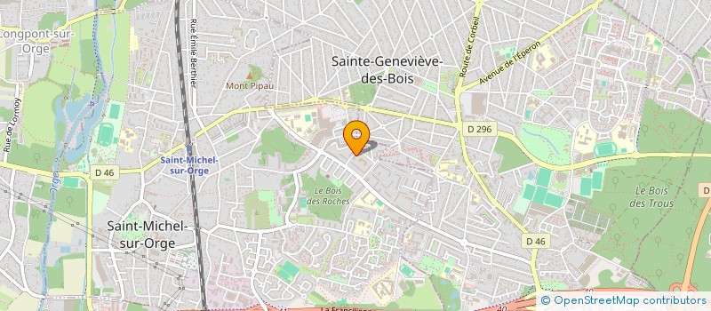 localisation de l'entreprise MADAME RUTH INYOUMA  SAINT-MICHEL-SUR-ORGE