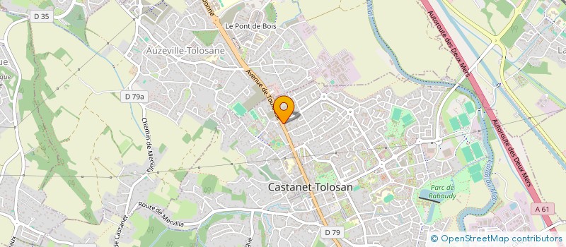 localisation de l'entreprise MADAME RUTH MULATU MEKONNEN à CASTANET-TOLOSAN