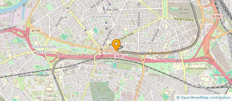 localisation de l'entreprise MADAME RUTH POYA-OKAMBA à LILLE