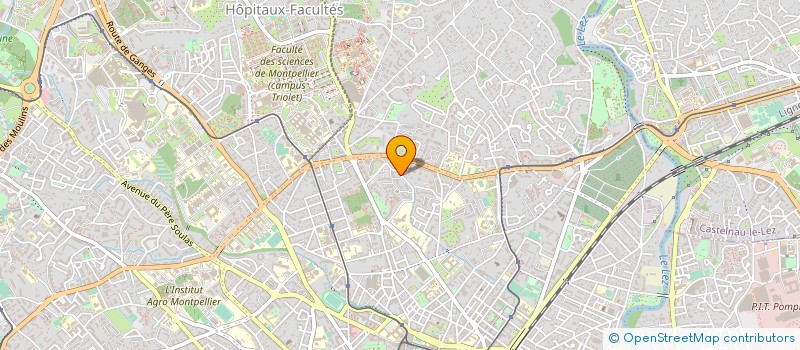 localisation de l'entreprise MADAME RUTH RUBIO AFUERA à MONTPELLIER