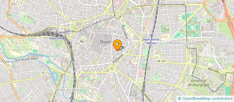 localisation de l'entreprise MADAME RYM GOURINE à DIJON