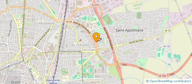 localisation de l'entreprise MADAME SAADIA OUHAJJOU  DIJON