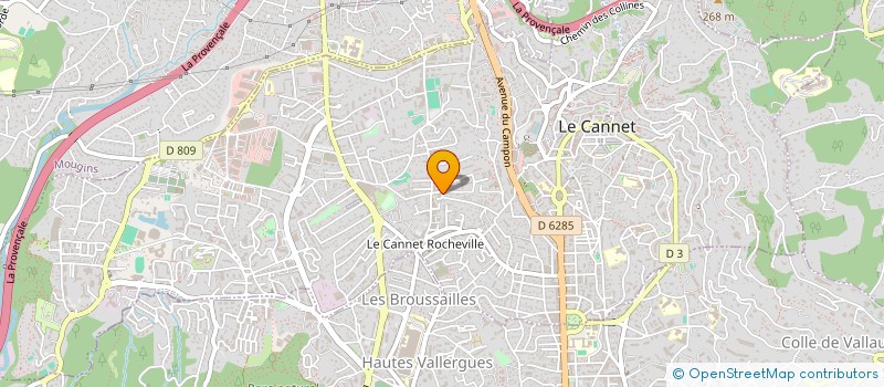 localisation de l'entreprise MADAME SABINA ROCA CASTRO  LE CANNET