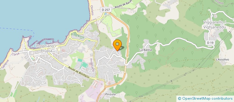 localisation de l'entreprise MADAME SABINE BONO  VIGGIANELLO