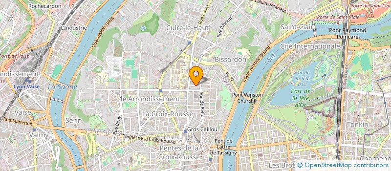 localisation de l'entreprise MADAME SABINE CALVINO à LYON