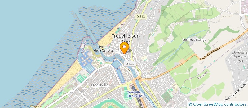 localisation de l'entreprise MADAME SABINE CHOLEZ à TROUVILLE-SUR-MER