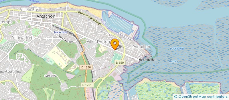 localisation de l'entreprise MADAME SABINE DECOSTER  ARCACHON